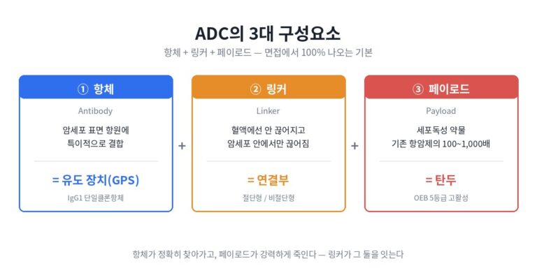 ADC 완전정복 — 항체약물접합체 뜻·DAR·접합공정 (삼바 면접 대비)