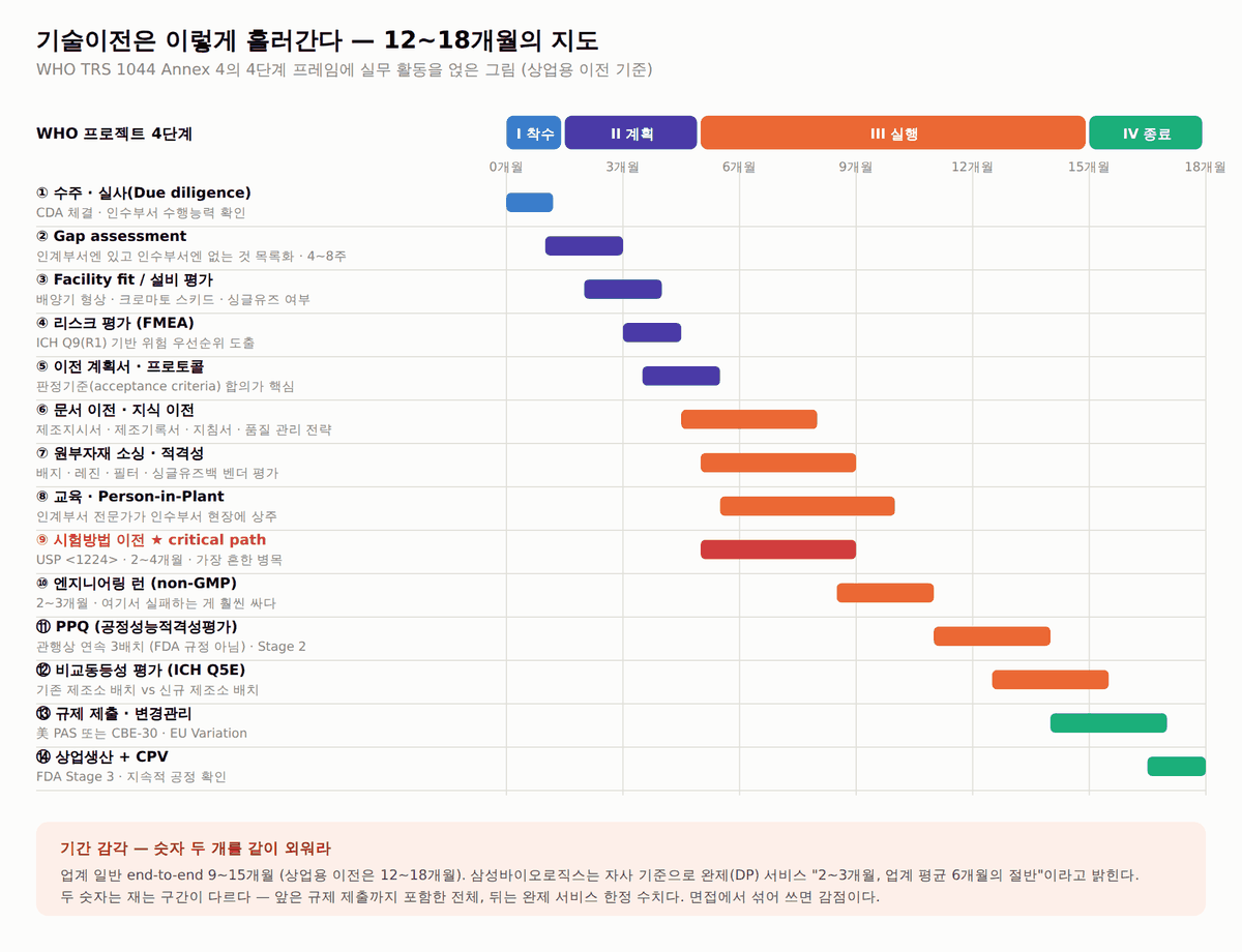 바이오의약품 기술이전 타임라인 – WHO TRS 1044 Annex 4 4단계 매핑