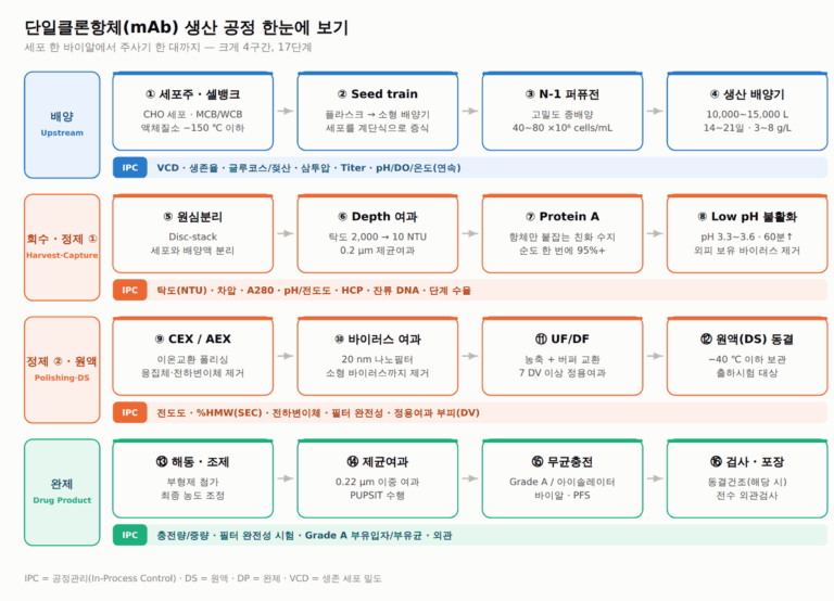 세포배양 공정 완전정리 — CHO 세포·유가배양·스케일업 (삼성바이오로직스 면접 대비) 세포배양 공정 완전정리 — CHO 세포·유가배양·스케일업 (삼성바이오로직스 면접 대비)