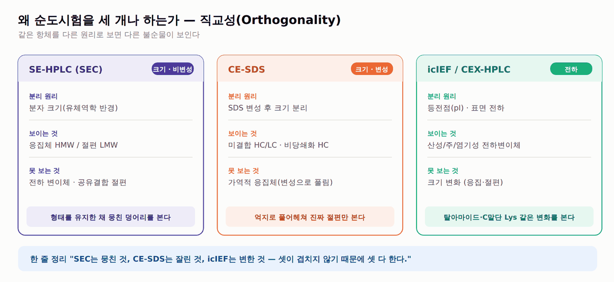 SEC·CE-SDS·icIEF 순도시험 직교성 비교