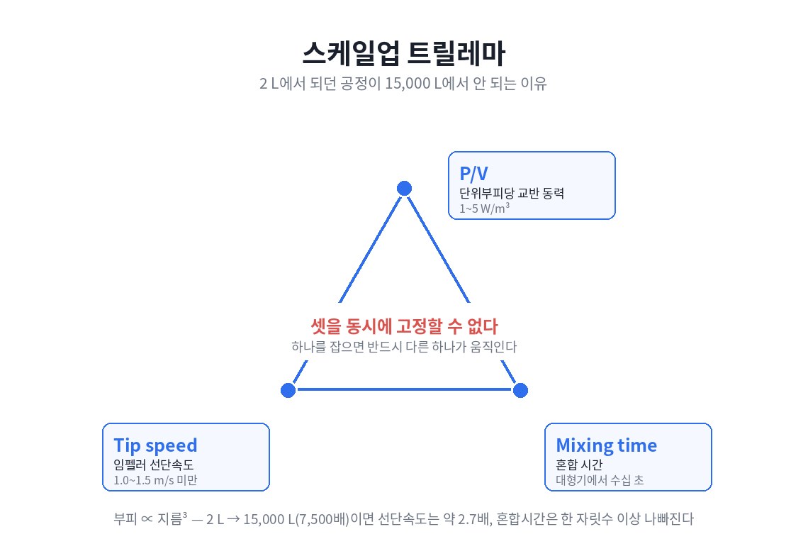 세포배양 스케일업 트릴레마 — P/V, Tip speed, Mixing time을 동시에 고정할 수 없다