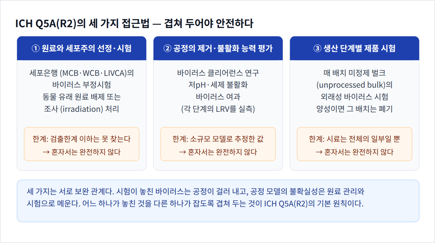 ICH Q5A(R2) 바이러스 안전성 세 가지 접근법과 각각의 한계